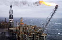Giá dầu thế giới tăng trở lại