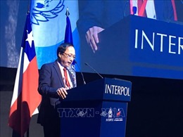 Việt Nam tham dự kỳ họp lần thứ 88 Đại hội đồng INTERPOL