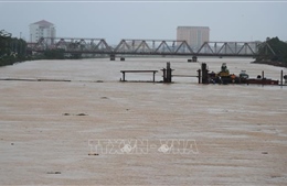 Các tỉnh từ Thanh Hóa đến Khánh Hòa tiếp tục chủ động ứng phó với mưa lớn 
