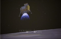 NASA tạm dừng hợp tác phát triển tàu đổ bộ Mặt Trăng với SpaceX 