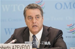 WTO nhấn mạnh vai trò của cây bông tại các quốc gia đang phát triển