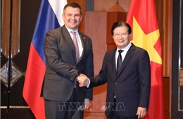 Nhiều triển vọng mở rộng hợp tác đầu tư Việt Nam - Nga