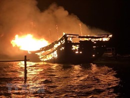 Quảng Trị: Cứu kịp thời 7 ngư dân Nghệ An trên tàu cá bị cháy