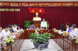 Đoàn công tác số 1 của Ban Chỉ đạo Trung ương về phòng, chống tham nhũng tiến hành kiểm tra tại Cần Thơ