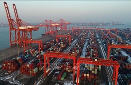 WTO nâng dự báo tăng trưởng thương mại toàn cầu