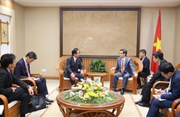 Phó Thủ tướng Vũ Đức Đam tiếp Thống đốc tỉnh Kanagawa (Nhật Bản) 