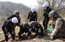 Hàn Quốc nối lại hoạt động tìm kiếm hài cốt binh sĩ trong chiến tranh Triều Tiên