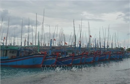 Khánh Hòa thông báo cho gần 600 tàu cá chủ động tránh bão số 6​