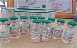 Bộ Y tế tiêm vắc xin cúm mùa cho gần 21.000 nhân viên y tế