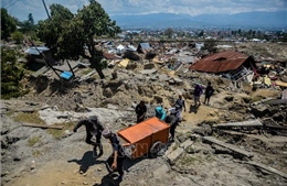 Liên hợp quốc cảnh báo thiệt hại kinh tế nghiêm trọng do sóng thần 