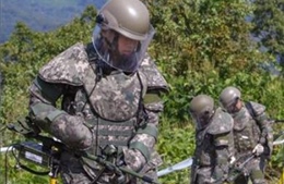 Quân đội Hàn Quốc bắt đầu gỡ mìn ở khu vực hậu tuyến phòng không 