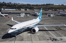 Boeing nỗ lực đưa mẫu máy bay Boeing 737 MAX trở lại