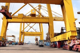 Giá dịch vụ bốc dỡ container tại các cảng biển được điều chỉnh tăng 10%