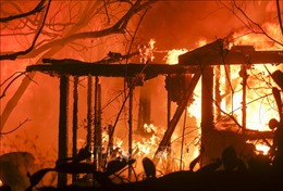Thảm họa cháy rừng ở California tiếp tục lan rộng, làm 31 người thiệt mạng