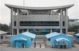 Nhật Bản, Mỹ và Hàn Quốc lên kế hoạch họp về Triều Tiên