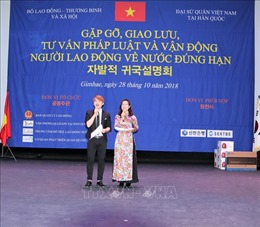 Lao động Việt Nam tại Hàn Quốc - Bài cuối: Đi tìm giải pháp hiệu quả 