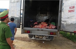 Chặn vụ thẩm lậu 1,4 tấn da và mỡ động vật hôi thối vào TP Hồ Chí Minh