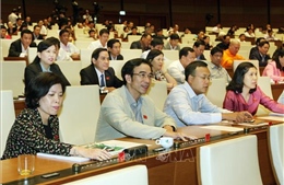 Quốc hội biểu quyết thông qua nhiều luật quan trọng trong ngày 19/11