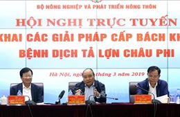 Thủ tướng Nguyễn Xuân Phúc chủ trì hội nghị cấp bách khống chế bệnh dịch tả lợn châu Phi