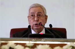 Tổng thống tạm quyền Algeria cam kết tổ chức bầu cử tổng thống trong vòng 3 tháng