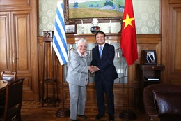 Uruguay đánh giá cao quan hệ hữu nghị và hợp tác với Việt Nam