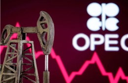 Cựu đại sứ UAE: Nhiều quốc gia 'rất có khả năng' sẽ rời OPEC 