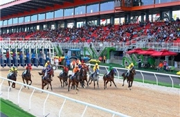 Trường đua ngựa 420 triệu USD đặt tại huyện Sóc Sơn 