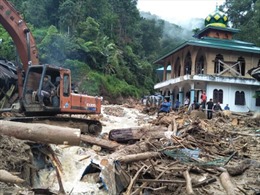 Số nạn nhân lở đất tại Indonesia tăng lên 22 người