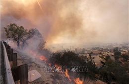 Hơn 630 người mất tích, 63 người thiệt mạng trong thảm họa cháy rừng California