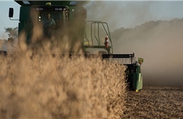 Trung Quốc ngừng mua nông sản Mỹ