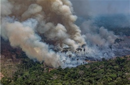 Cháy rừng Amazon làm tăng số ca bệnh về đường hô hấp ở Brazil