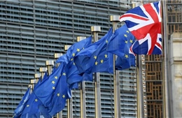 Nghị viện châu Âu phê chuẩn Thỏa thuận Brexit, Anh chính thức rời EU ngày 31/1