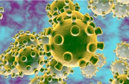WHO đặt tên bệnh dịch mới do virus Corona gây ra là ‘COVID 19’