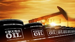 Giá dầu thô lần đầu tiên sau 34 năm xuống dưới 8 USD/thùng