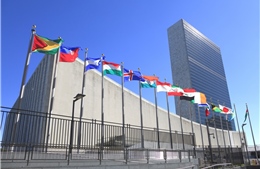Các nhà lãnh đạo thế giới sẽ không tới New York dự kỳ họp Đại hội đồng LHQ