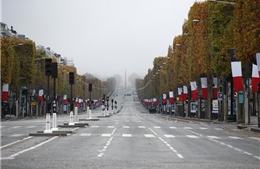 Thủ đô Paris thúc đẩy các nỗ lực &#39;xanh&#39;