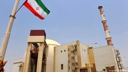 Cơ sở hạt nhân Bushehr của Iran ngừng hoạt động khẩn cấp