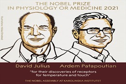 Giải Nobel Y học năm 2021 vinh danh hai nhà khoa học người Mỹ David Julius và Ardem Patapoutian