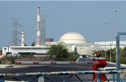 Iran diễn tập phòng không tại cơ sở hạt nhân Bushehr