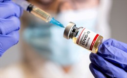 Hãng dược Nhật Bản bắt đầu thử nghiệm lâm sàng giai đoạn 3 vaccine COVID-19 tại Việt Nam