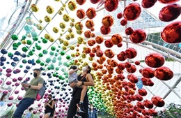 COVID-19 tại ASEAN hết 22/12: Toàn khối thêm 400 ca tử vong; Thái Lan chi 1 tỷ USD mua vaccine