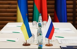 Ukraine thông báo thời điểm nối lại vòng đàm phán hòa bình thứ 3 với Nga