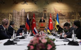 Nga và Ukraine bắt đầu vòng đàm phán mới tại Thổ Nhĩ Kỳ