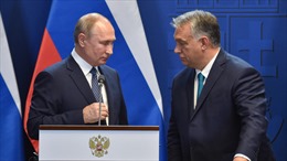 Hungary đề xuất tổ chức hội nghị thượng đỉnh bốn bên về Ukraine