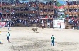 Video khán đài sân vận động đấu bò tại Colombia đổ sập khiến trên 500 người thương vong