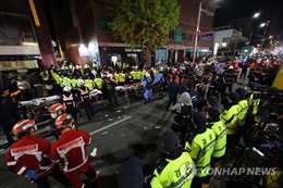 Có ít nhất 19 người nước ngoài thiệt mạng trong thảm họa lễ hội Halloween ở Hàn Quốc