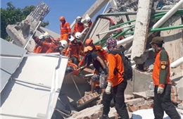832 người thiệt mạng trong vụ động đất-sóng thần tại Indonesia, 10 người Việt Nam an toàn