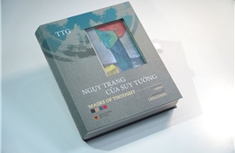 Triết học và mỹ thuật gặp nhau trong &#39;Ngụy trang của suy tưởng&#39;