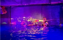 Điểm hẹn rối nước trong không gian bảo tàng