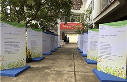 Thi ca trước áp lực công nghệ số